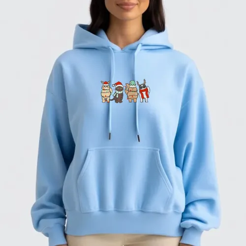 Baby Blue Christmas Hoodie